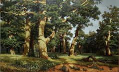 The oak grove